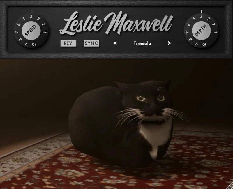 Leslie Maxwell